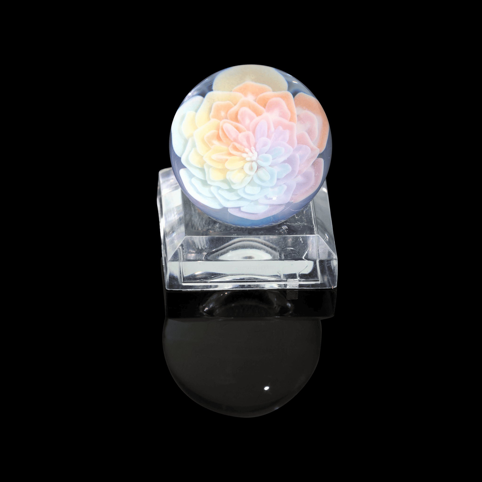 artisan-crafted design of the Large Mushroom Rig by Glasshole (2023)